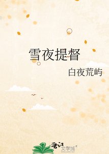 雪夜提督